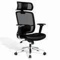 **Ergonomic Mesh Office Chair with Adjustable Headrest and Armrests**